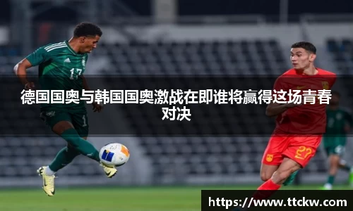 智博19